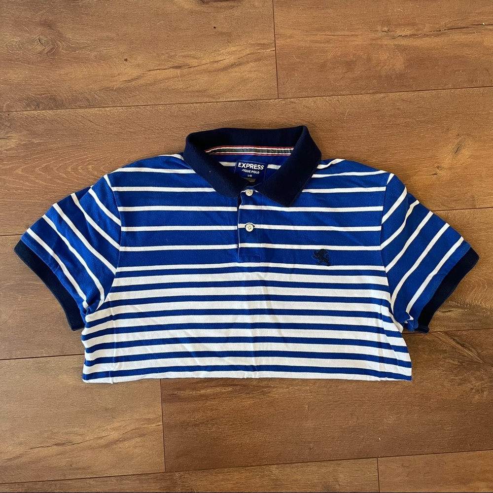 Express Men’s Blue Striped Polo